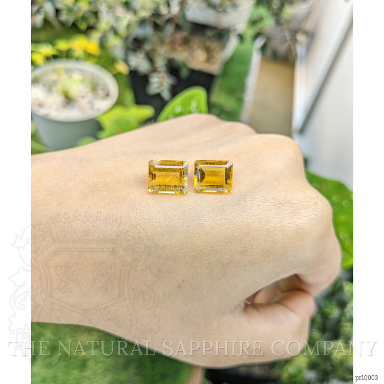 9.23 Ct.Tw. Citrine Pair from Brazil