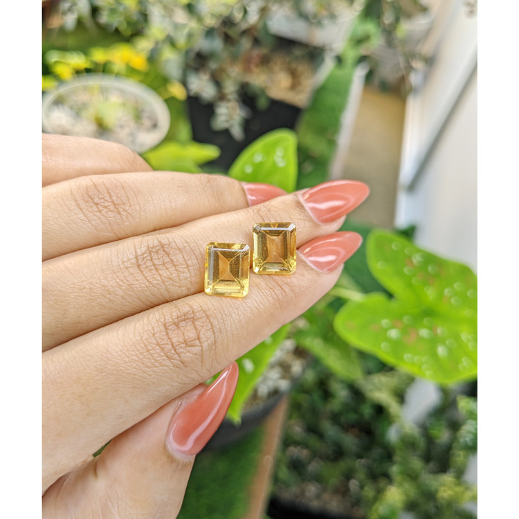 8.65 Ct.Tw. Citrine Pair from Brazil