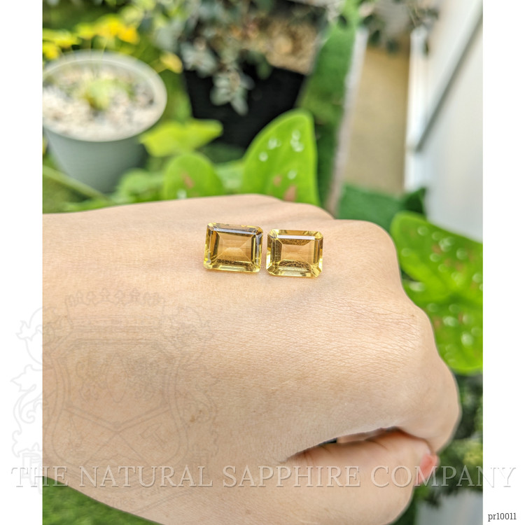 8.30 Ct.Tw. Citrine Pair from Brazil