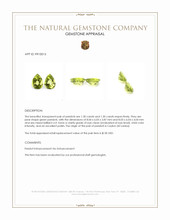 2.60 Ct.Tw.Total Carat Weight Green Peridot Pair from Ceylon (Sri Lanka) Appraisal