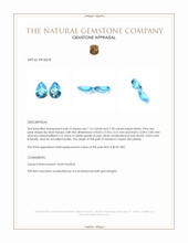 2.46 Ct.Tw.Total Carat Weight Sky Blue Topaz Pair from Ceylon (Sri Lanka) Appraisal