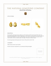 6.67 Ct.Tw.Total Carat Weight Yellow Citrine Pair from Brazil Appraisal