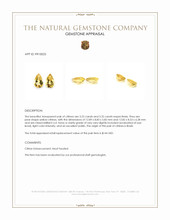 6.54 Ct.Tw.Total Carat Weight Yellow Citrine Pair from Brazil Appraisal