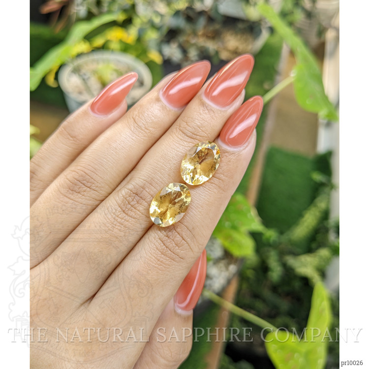 9.44 Ct.Tw. Citrine Pair from Brazil