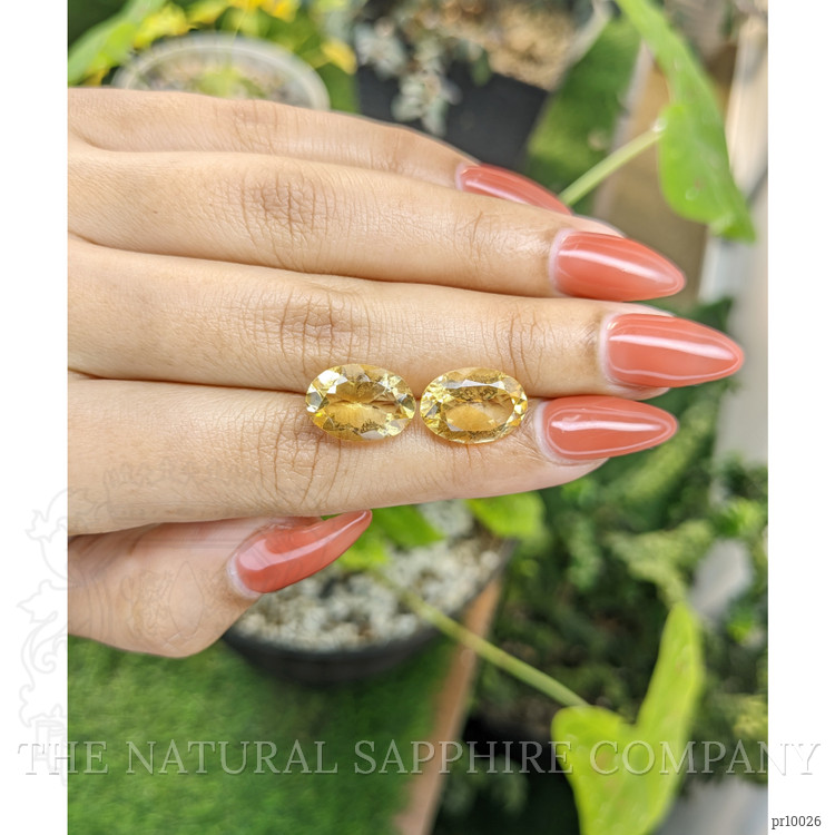 9.44 Ct.Tw. Citrine Pair from Brazil