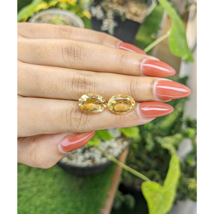 9.44 Ct.Tw. Citrine Pair from Brazil