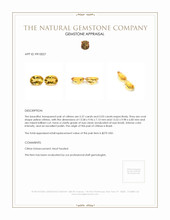 10.40 Ct.Tw.Total Carat Weight Citrine Pair from Brazil Appraisal
