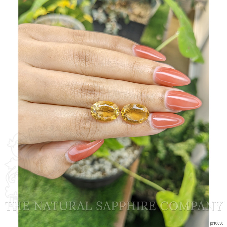 9.52 Ct.Tw. Citrine Pair from Brazil