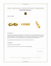 9.89 Ct.Tw.Total Carat Weight Citrine Pair from Brazil Appraisal
