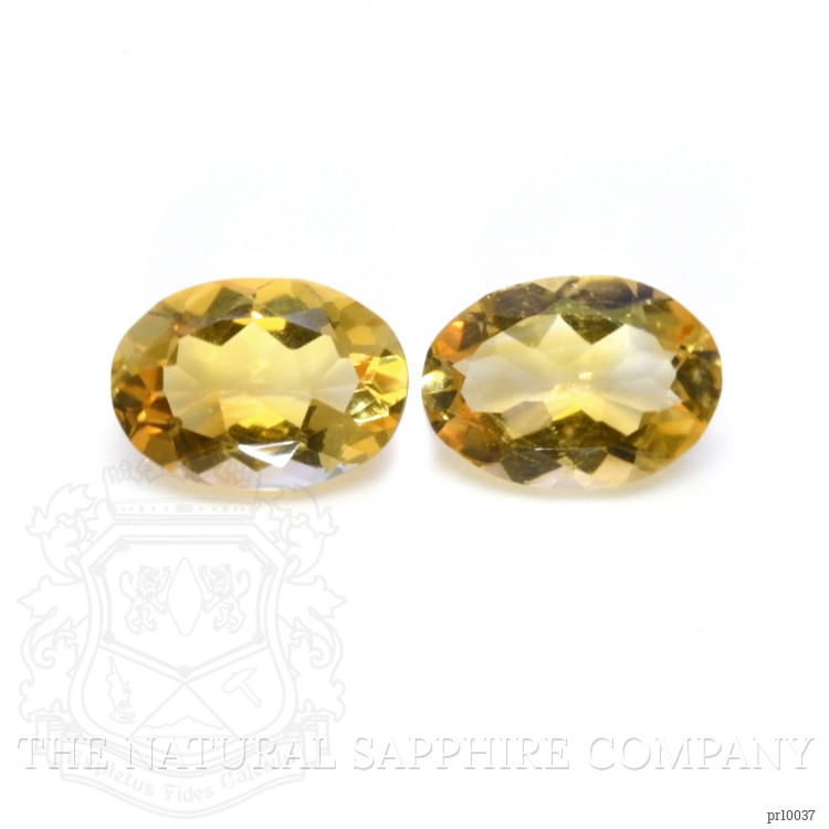9.71 Ct.Tw. Citrine Pair from Brazil
