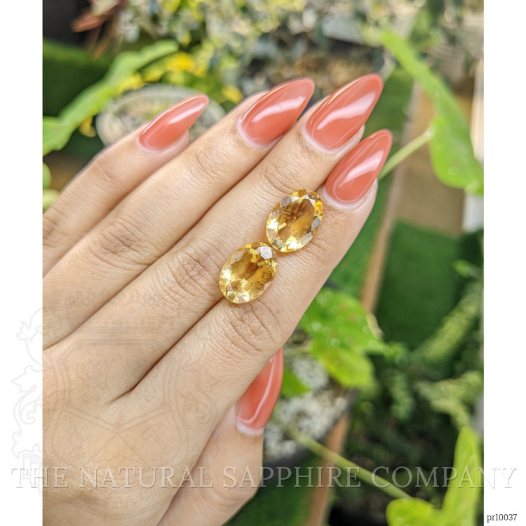 9.71 Ct.Tw. Citrine Pair from Brazil