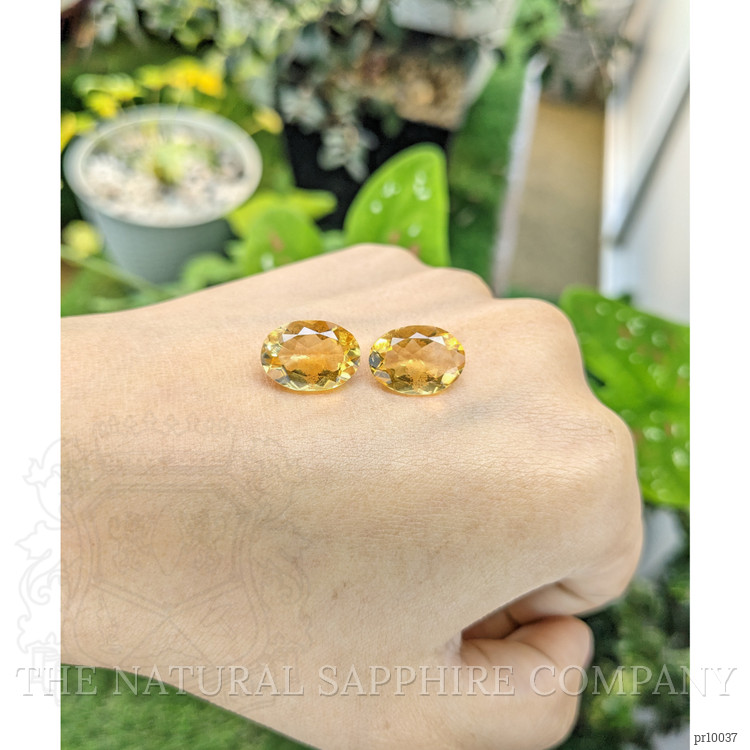 9.71 Ct.Tw. Citrine Pair from Brazil