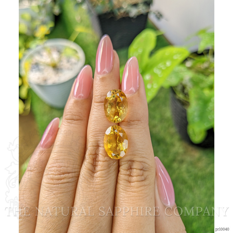 11.19 Ct.Tw. Citrine Pair from Brazil