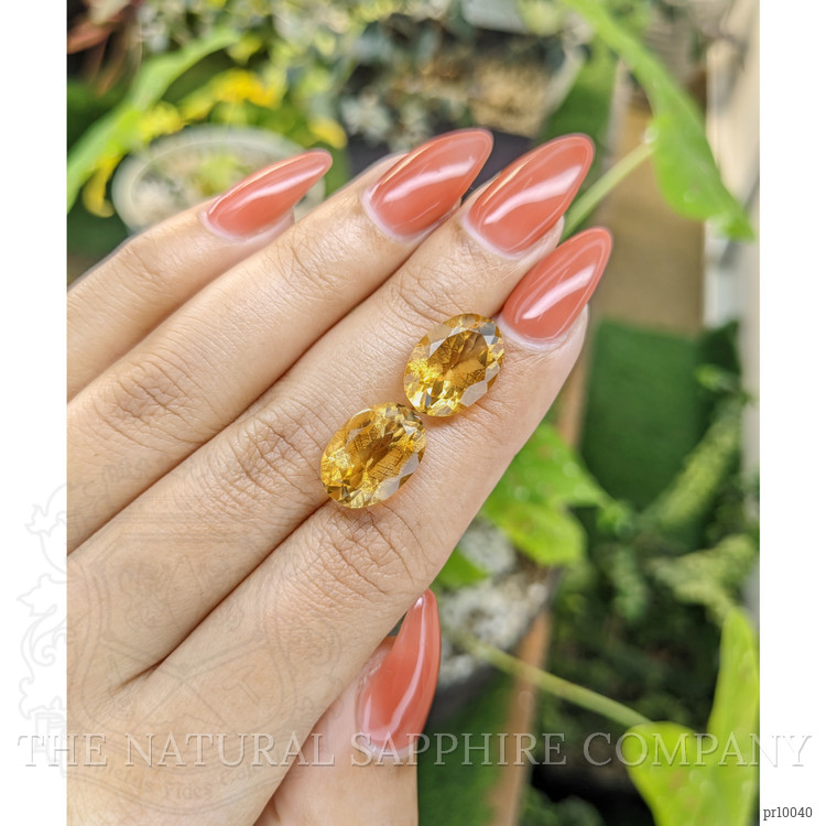 11.19 Ct.Tw. Citrine Pair from Brazil