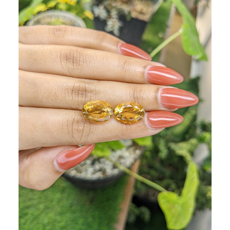 11.19 Ct.Tw. Citrine Pair from Brazil