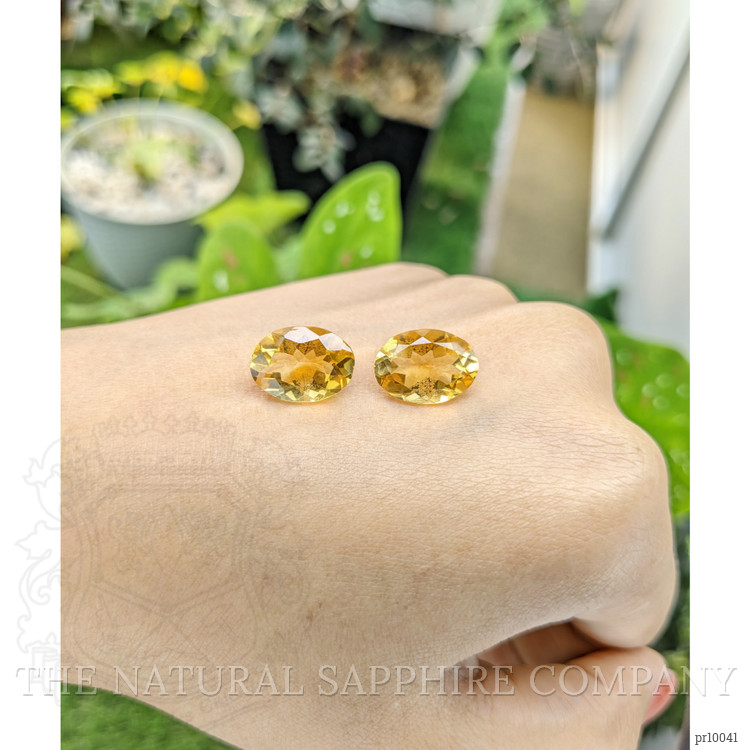 9.72 Ct.Tw. Citrine Pair from Brazil