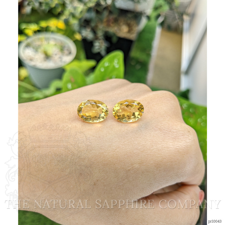 10.84 Ct.Tw. Citrine Pair from Brazil