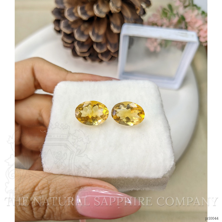 9.64 Ct.Tw. Citrine Pair from Brazil