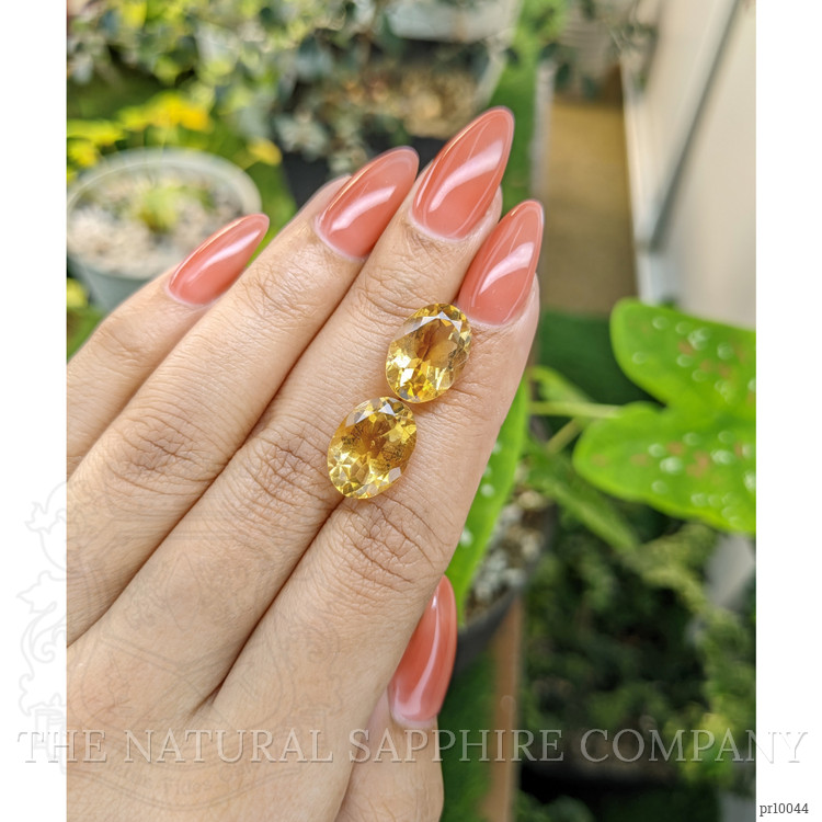 9.64 Ct.Tw. Citrine Pair from Brazil