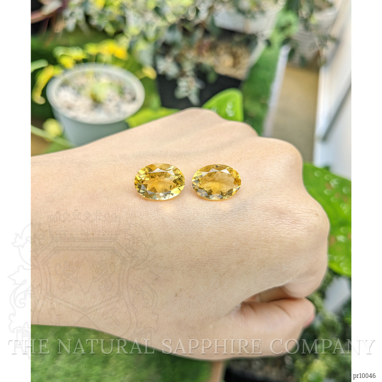 9.60 Ct.Tw. Citrine Pair from Brazil