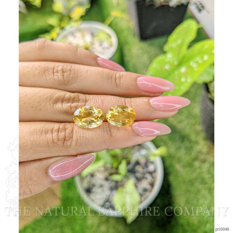 9.60 Ct.Tw. Citrine Pair from Brazil