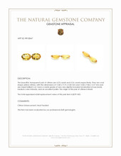 8.79 Ct.Tw.Total Carat Weight Yellow Citrine Pair from Brazil Appraisal