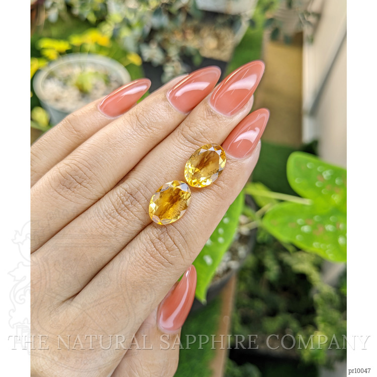 8.79 Ct.Tw. Citrine Pair from Brazil
