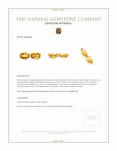 11.09 Ct.Tw.Total Carat Weight Yellow Citrine Pair from Brazil Appraisal