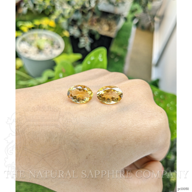 9.85 Ct.Tw. Citrine Pair from Brazil