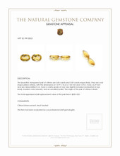 10.84 Ct.Tw.Total Carat Weight Citrine Pair from Brazil Appraisal