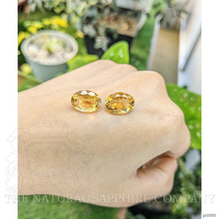 10.84 Ct.Tw. Citrine Pair from Brazil