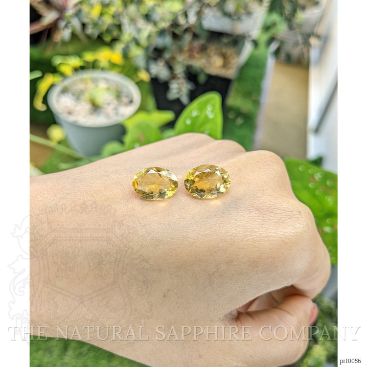 9.07 Ct.Tw. Citrine Pair from Brazil