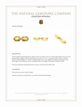 9.48 Ct.Tw.Total Carat Weight Yellow Citrine Pair from Brazil Appraisal