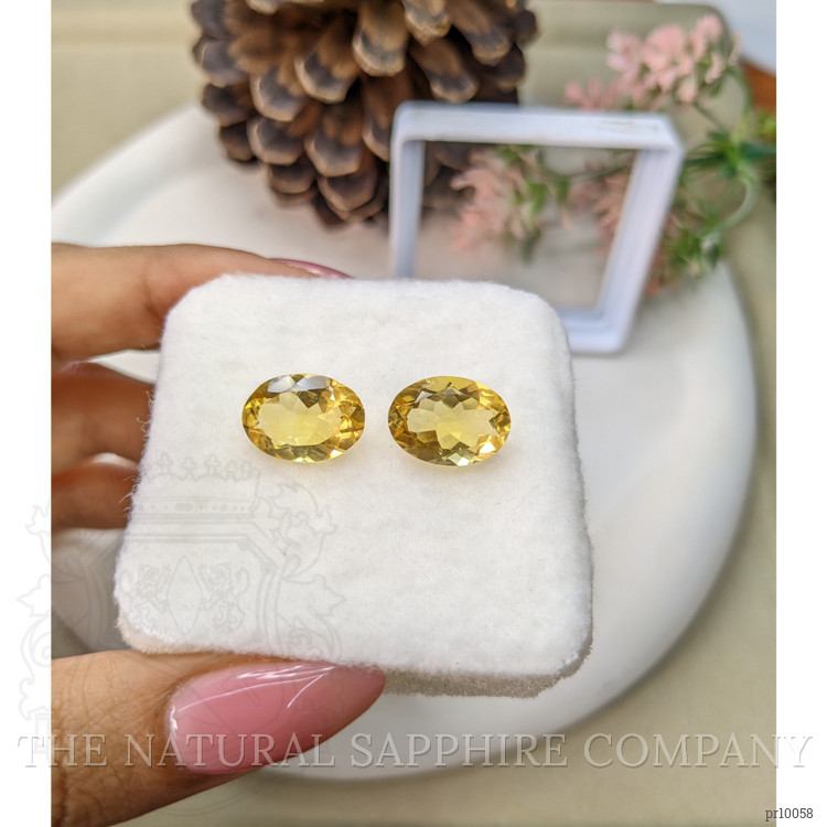 9.48 Ct.Tw. Citrine Pair from Brazil