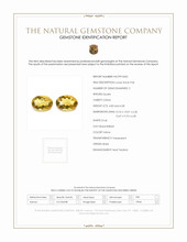 9.41 Ct.Tw.Total Carat Weight Yellow Citrine Pair from Brazil Scan Report