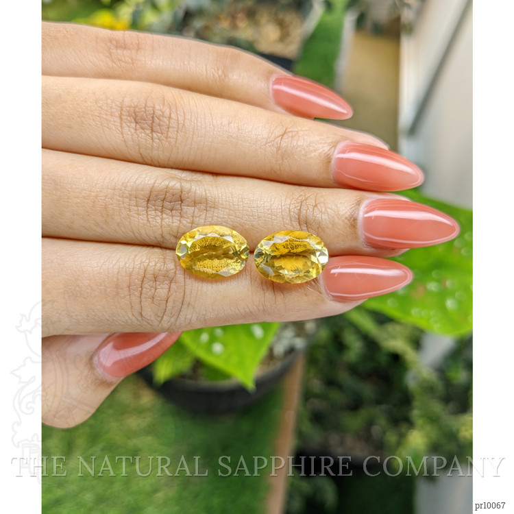 10.85 Ct.Tw. Citrine Pair from Brazil