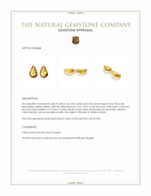 5.90 Ct.Tw.Total Carat Weight Yellow Citrine Pair from Brazil Appraisal