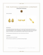 6.76 Ct.Tw.Total Carat Weight Yellow Citrine Pair from Brazil Appraisal