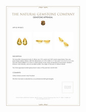 5.84 Ct.Tw.Total Carat Weight Citrine Pair from Brazil Appraisal