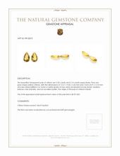 6.34 Ct.Tw.Total Carat Weight Yellow Citrine Pair from Brazil Appraisal