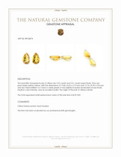 6.76 Ct.Tw.Total Carat Weight Yellow Citrine Pair from Brazil Appraisal