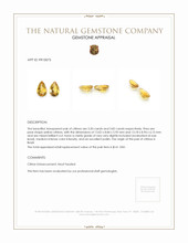 7.32 Ct.Tw.Total Carat Weight Citrine Pair from Brazil Appraisal