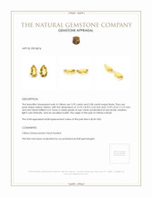 6.57 Ct.Tw.Total Carat Weight Citrine Pair from Brazil Appraisal