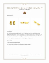 6.57 Ct.Tw.Total Carat Weight Yellow Citrine Pair from Brazil Appraisal