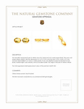 9.58 Ct.Tw.Total Carat Weight Yellow Citrine Pair from Brazil Appraisal