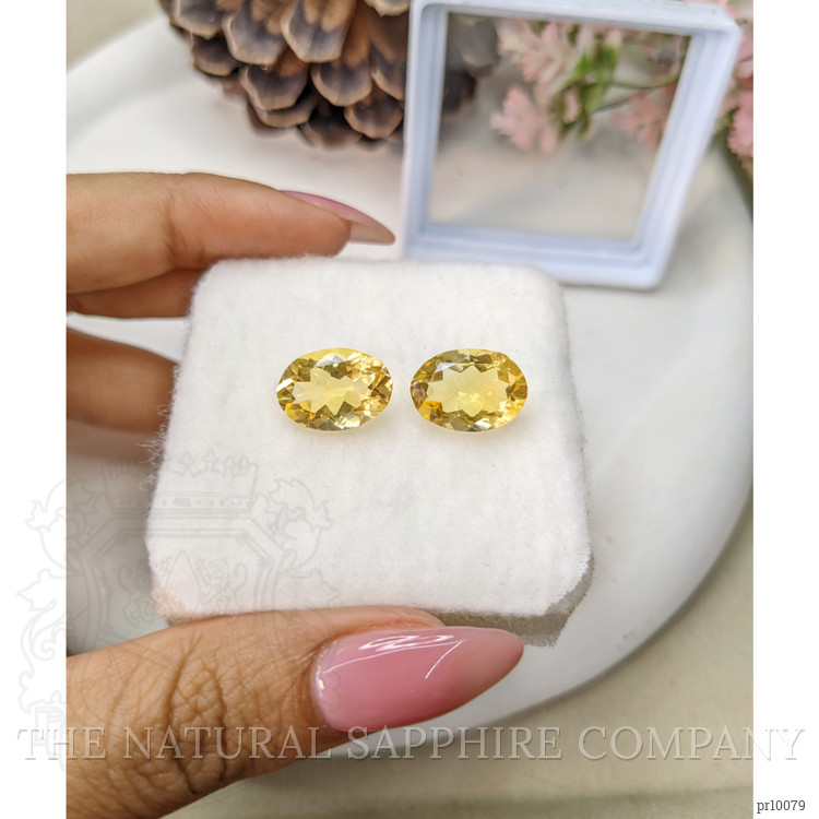 9.27 Ct.Tw. Citrine Pair from Brazil