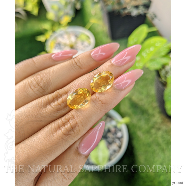 9.75 Ct.Tw. Citrine Pair from Brazil