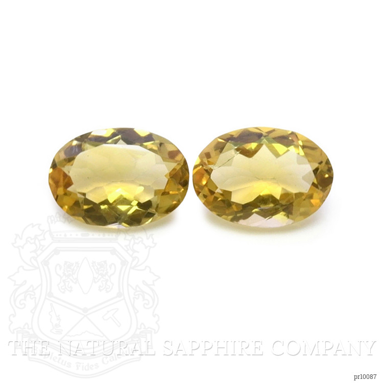 9.21 Ct.Tw. Citrine Pair from Brazil