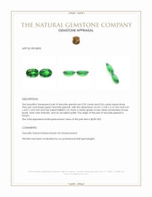 1.15 Ct.Tw.Total Carat Weight Tsavorite Garnet Pair from Kenya Appraisal