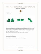 0.81 Ct.Tw.Total Carat Weight Emerald Pair from Colombia Appraisal